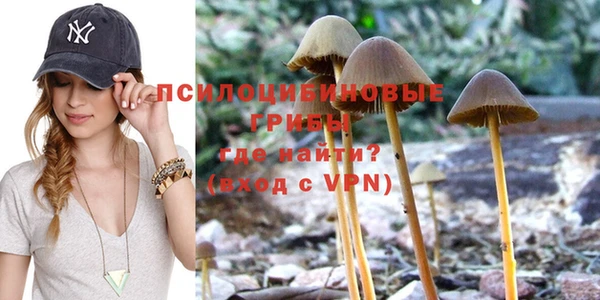 не бодяженный Магас