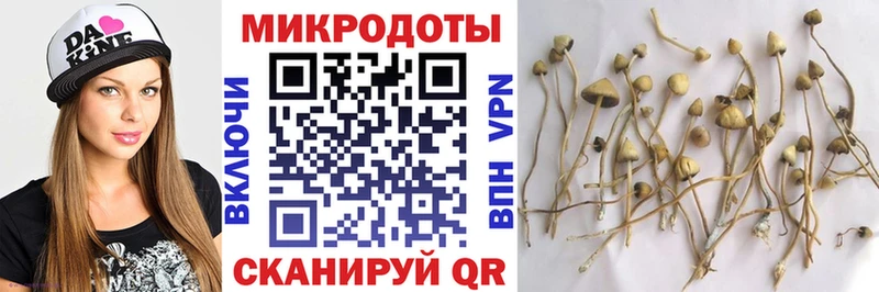 Галлюциногенные грибы MAGIC MUSHROOMS  Купить  Медногорск 